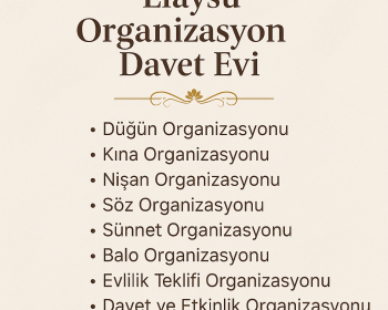 elaysu